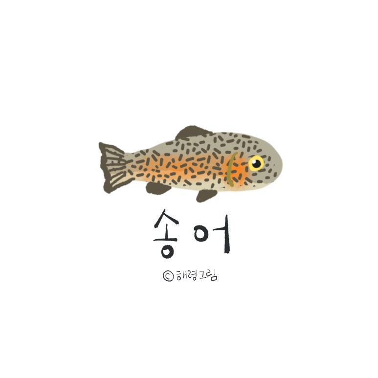 금호송어장 이미지