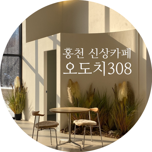 오도치308 이미지