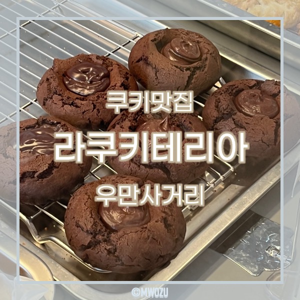 라쿠키테리아 이미지