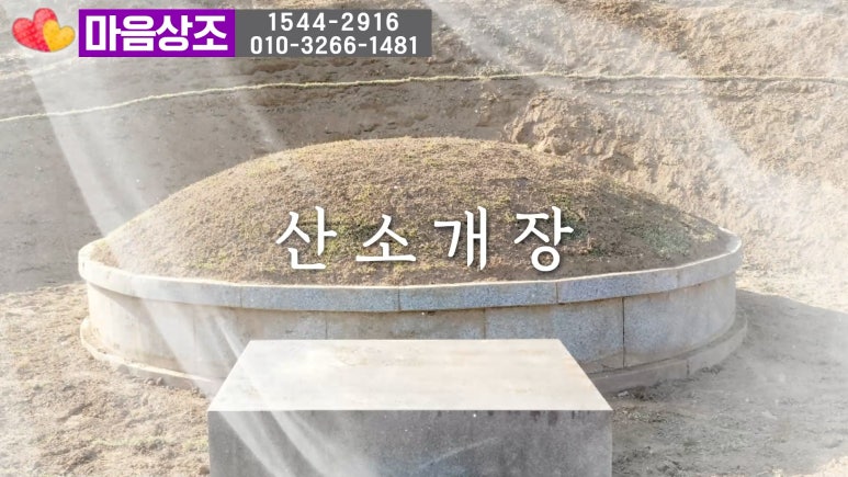광영수의 이미지