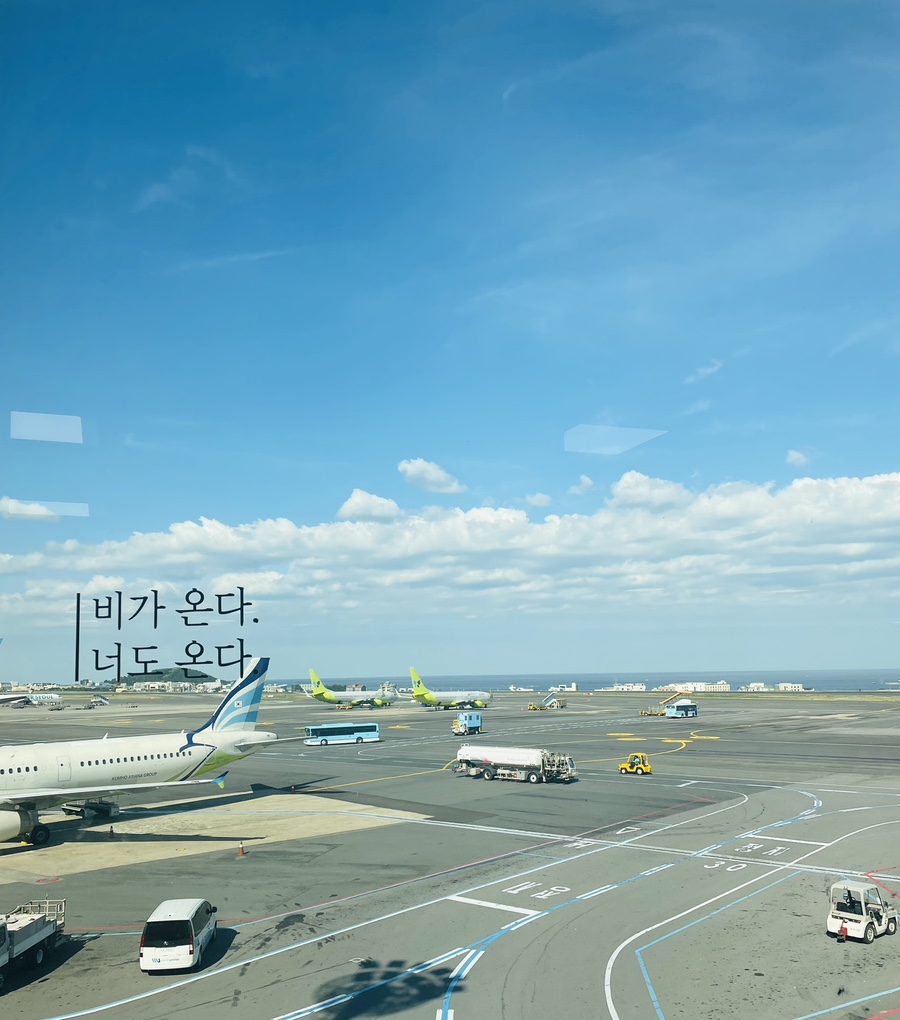 해바라기떡집 이미지