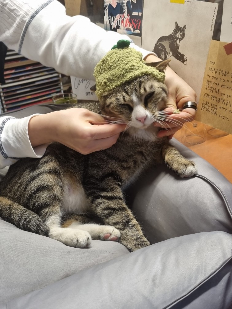 카페연화 이미지