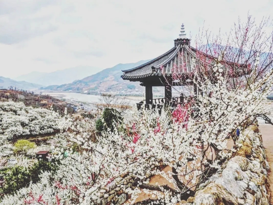 봄날애 이미지