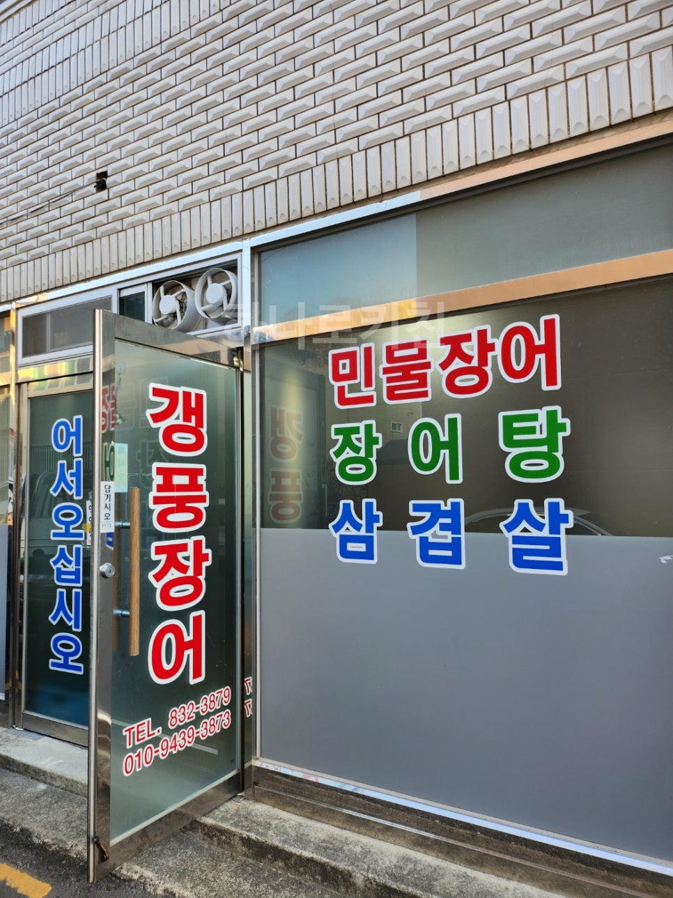 갱풍장어 이미지