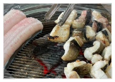 조선장어 이미지