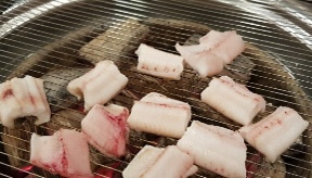 조선장어 이미지