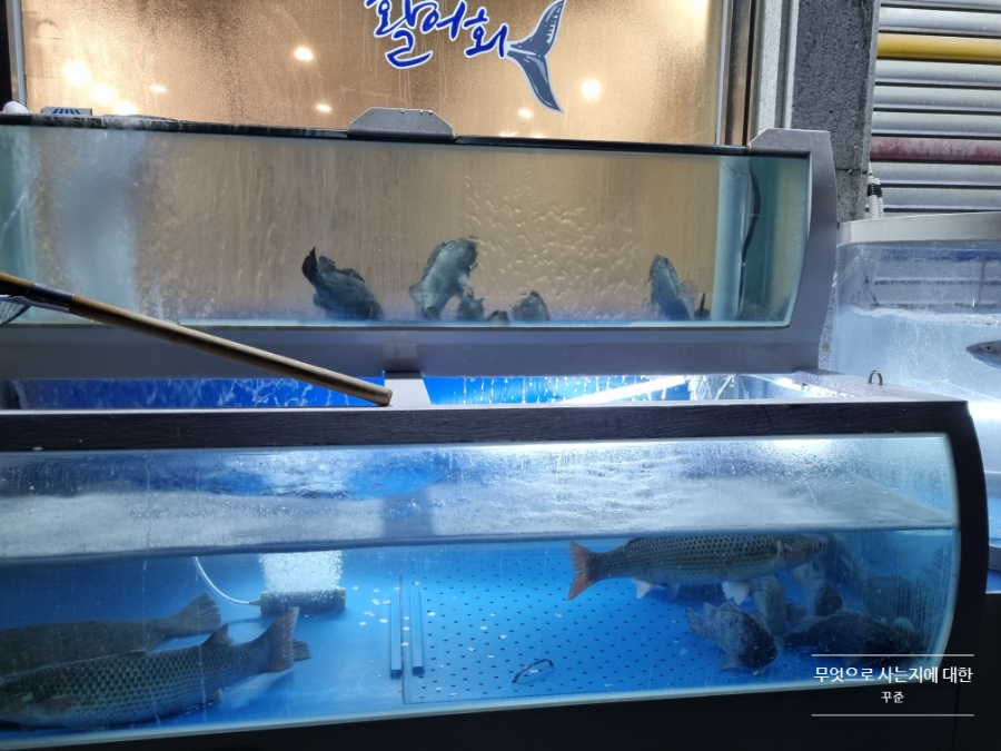 미금수산 이미지