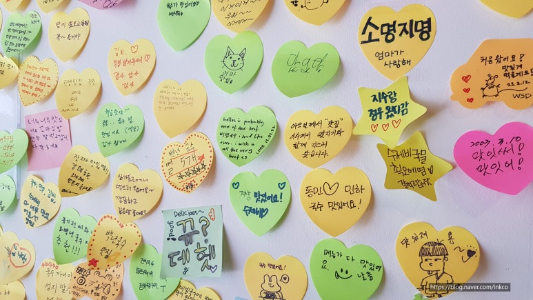 백년국수 이미지