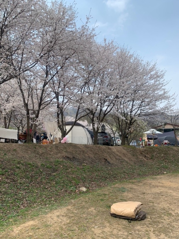 용인반딧불캠핑장 이미지