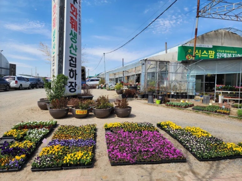 교육복지로협동조합 이미지