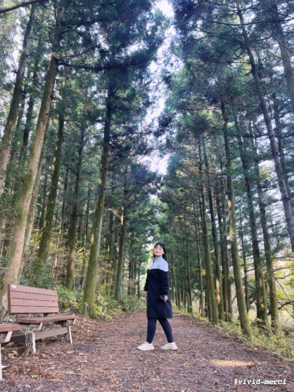삼달리귤 이미지