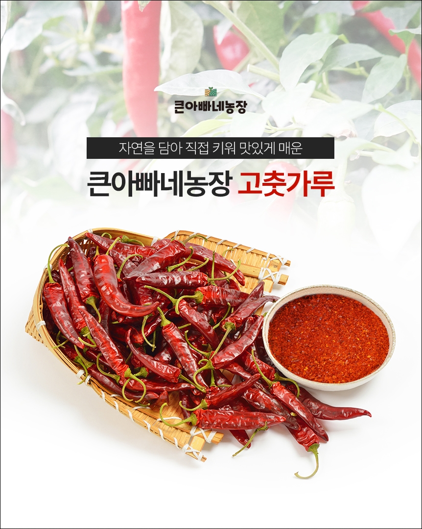 이미지산업기획 이미지