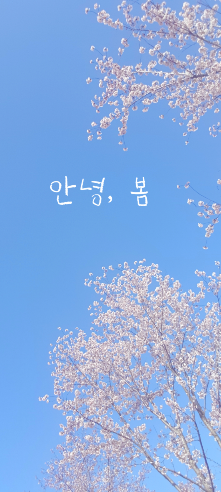 미니픽 이미지