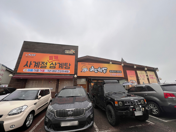 흙뿌리진안홍삼 이미지