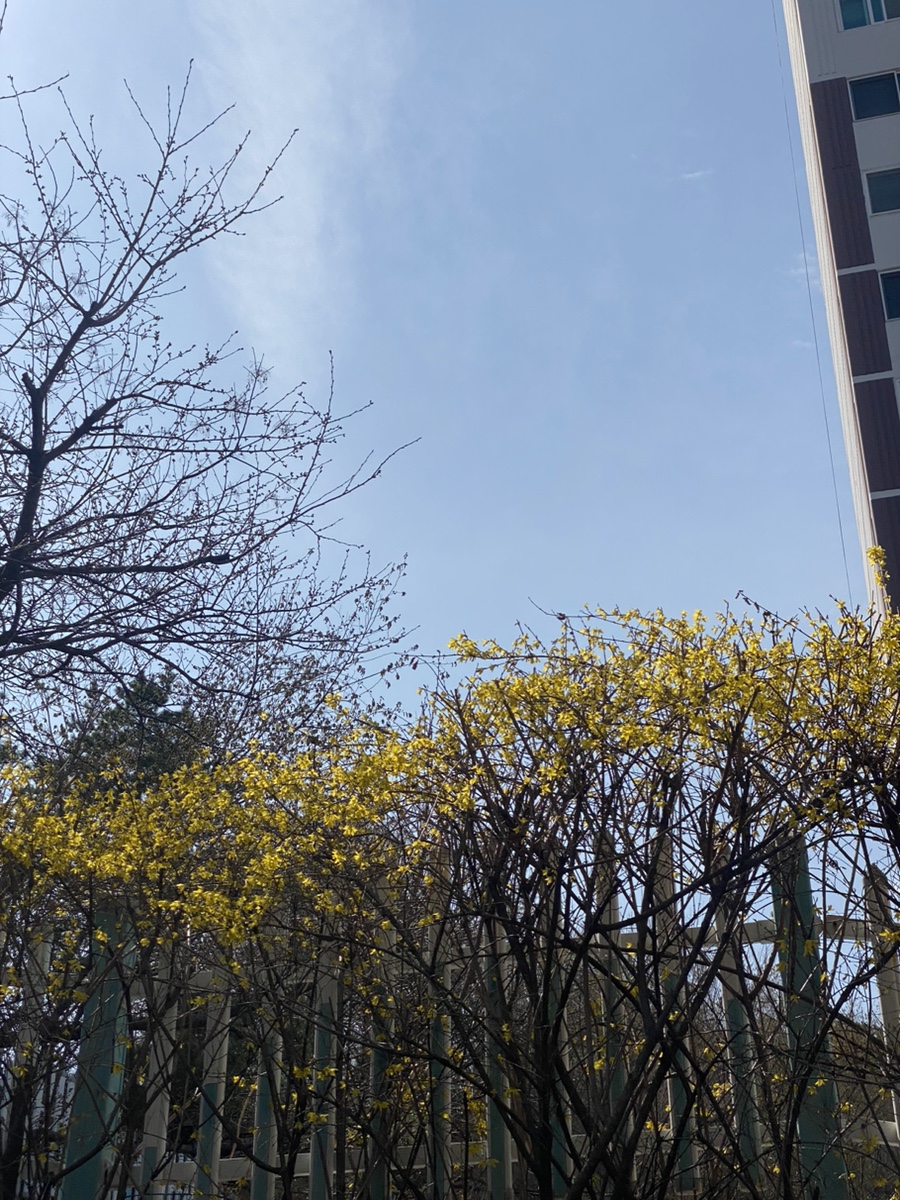 카앤카클리닉 이미지