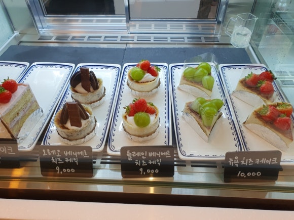 아사라 이미지