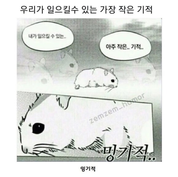 찬이네 이미지
