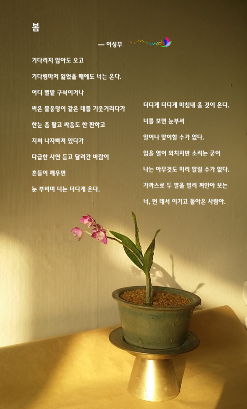 양평칼국수 이미지