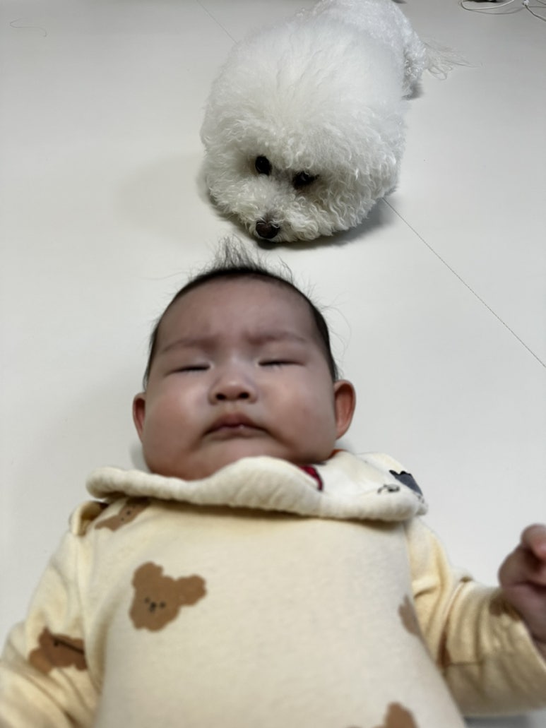 기영이 숯불 두마리 치킨 경북상주점 이미지