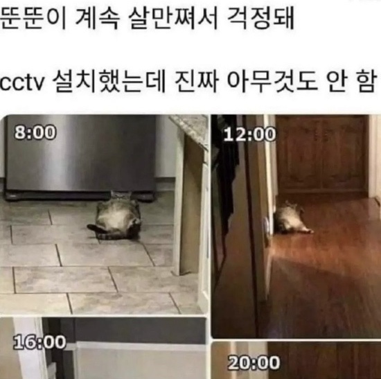 안녕머리야 이미지