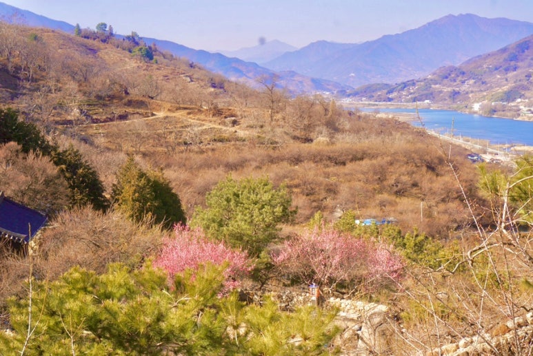 주영농원 이미지