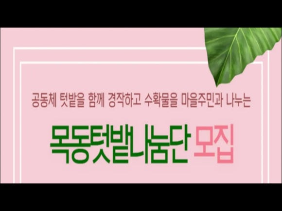 목동텃밭 이미지