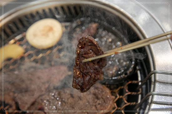 탄성한우 이미지