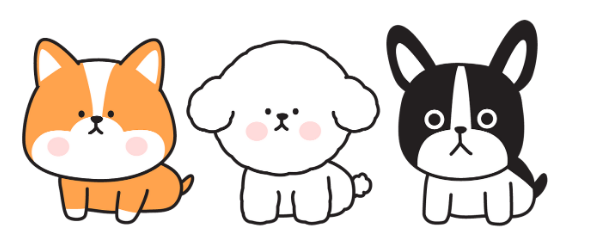다인그래픽 이미지