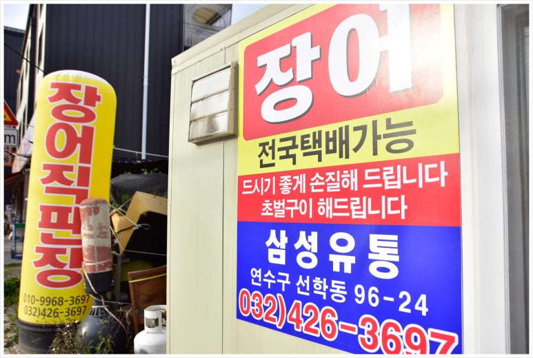 해장어 이미지