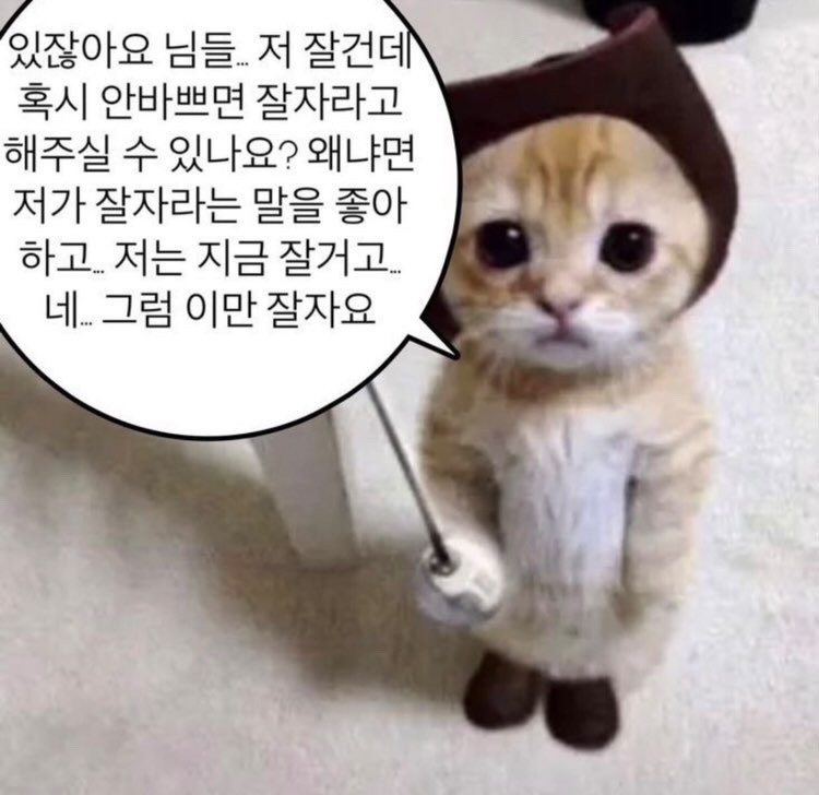 금촌댁 이미지