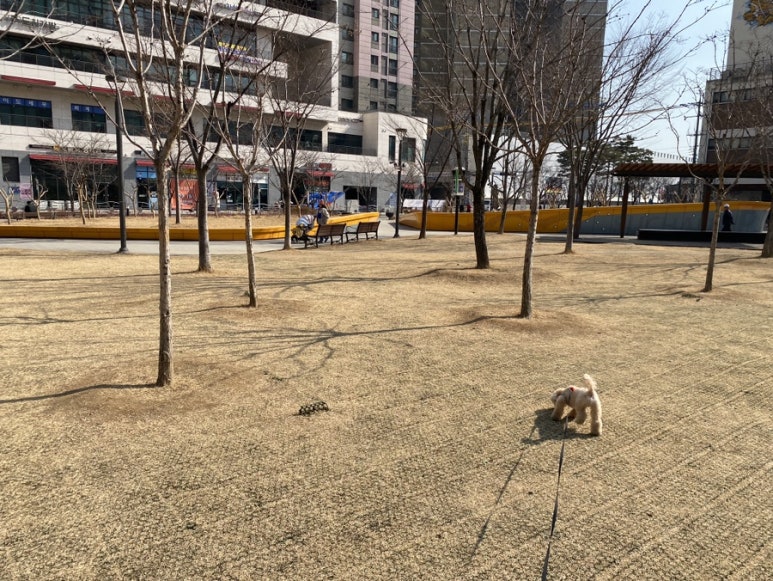 제2수창공원 이미지