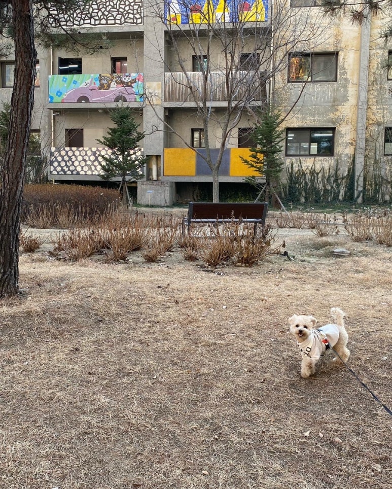 제2수창공원 이미지