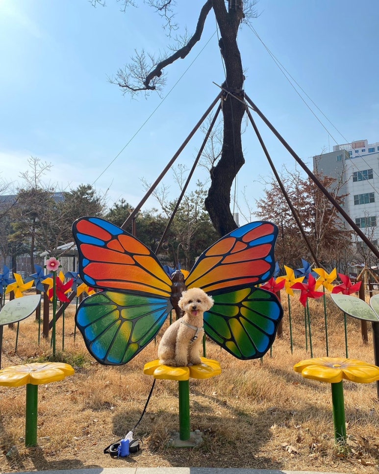 제2수창공원 이미지