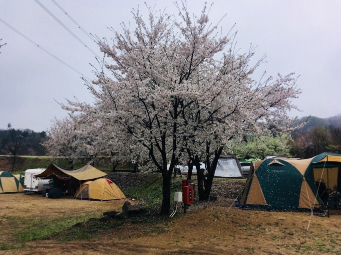 용인반딧불캠핑장 이미지