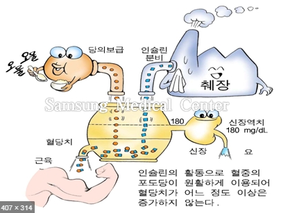리메디얼휘트니스 이미지