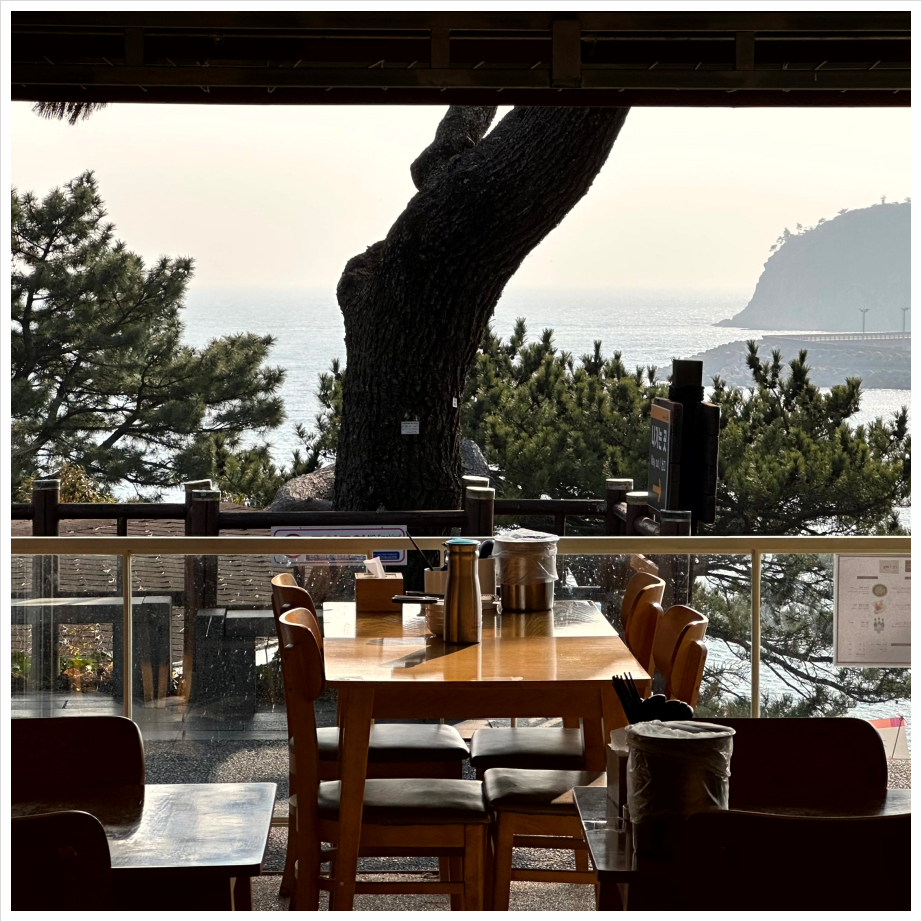 올레해물라면 이미지