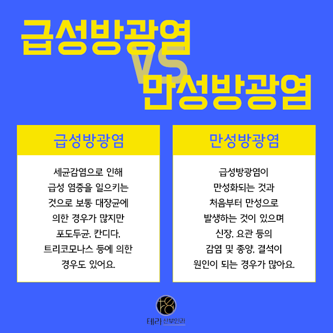테라화성 이미지