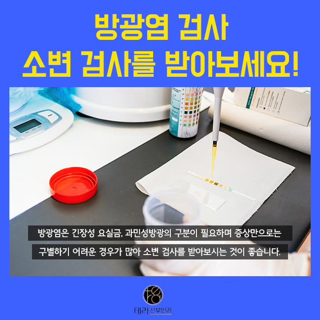 테라화성 이미지