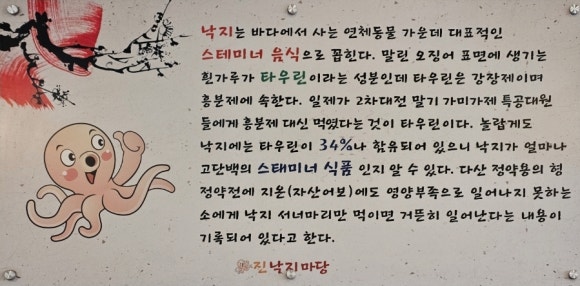 진낙지마당 이미지