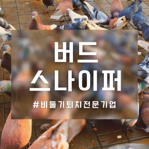 청소스나이퍼 이미지