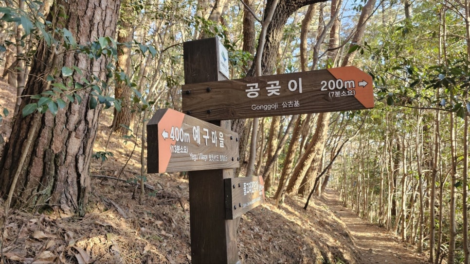 공곶이이야기 이미지