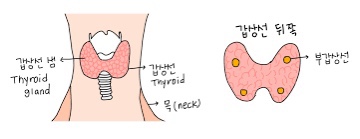 짐보스 이미지