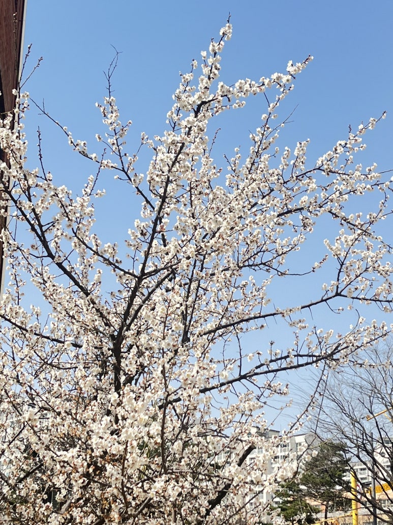 쌍용자동차수지서비스프라자 이미지