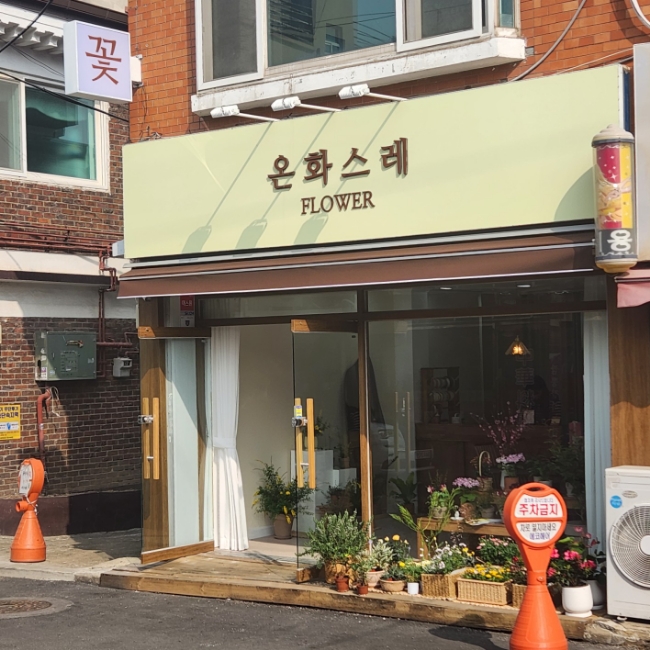 온화스레 이미지