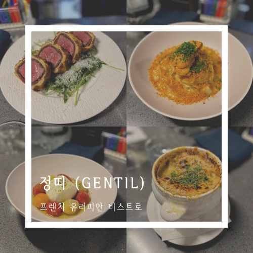 gentil (정띠) 이미지