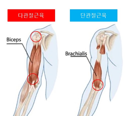 기능동작아카데미 이미지