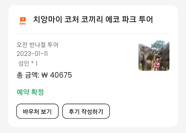 코끼리투어 이미지