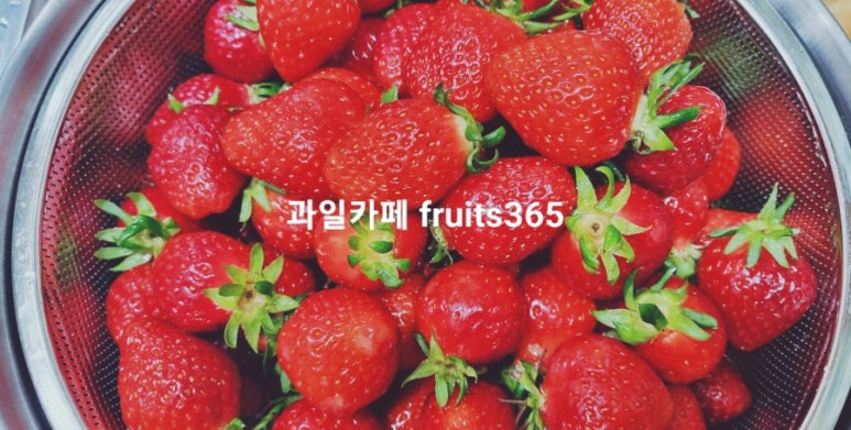 부영예술유치원 이미지