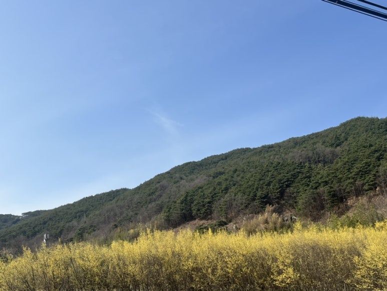 바꿈살이 이미지
