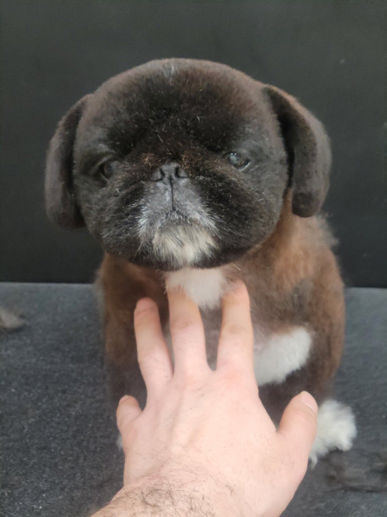 미용타운 이미지